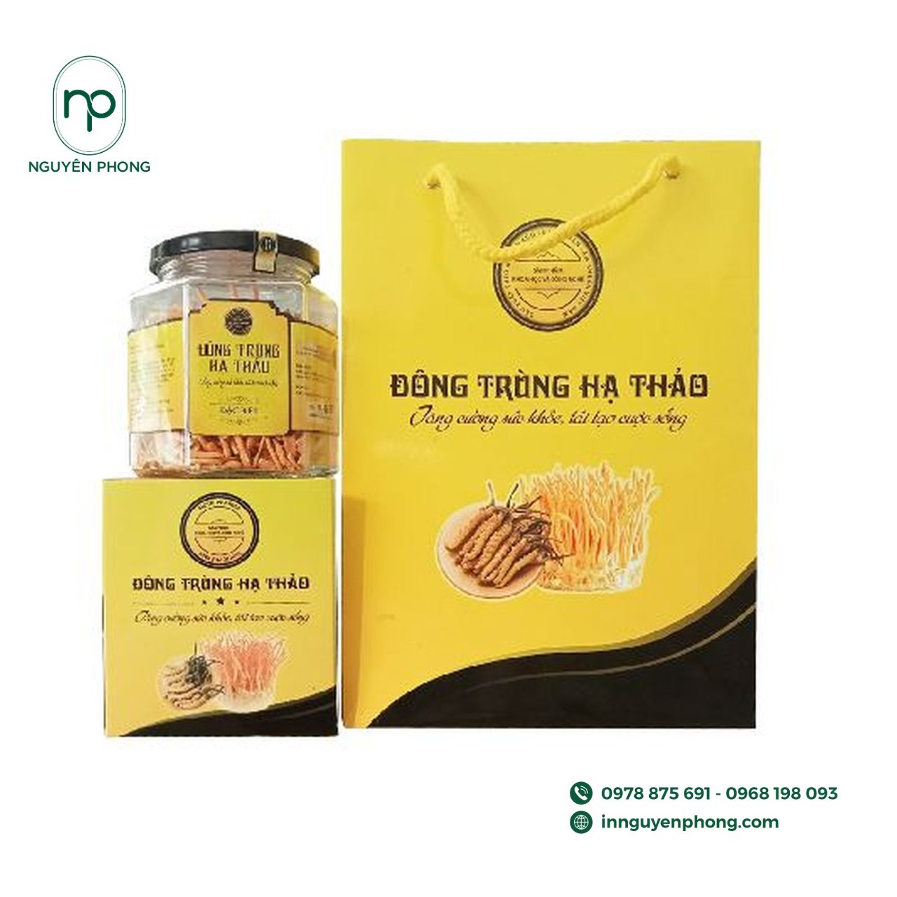 Chất liệu kraft đựng hộp đông trùng hạ thảo